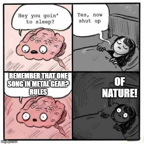 Hey you going to sleep? | REMEMBER THAT ONE
SONG IN METAL GEAR?
RULES; OF NATURE! | image tagged in hey you going to sleep | made w/ Imgflip meme maker