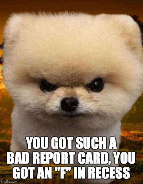 Fluffy, Destroyer of worlds | YOU GOT SUCH A BAD REPORT CARD, YOU GOT AN "F" IN RECESS | image tagged in fluffy destroyer of worlds | made w/ Imgflip meme maker