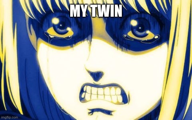 Ymir scary | MY TWIN | image tagged in ymir scary | made w/ Imgflip meme maker