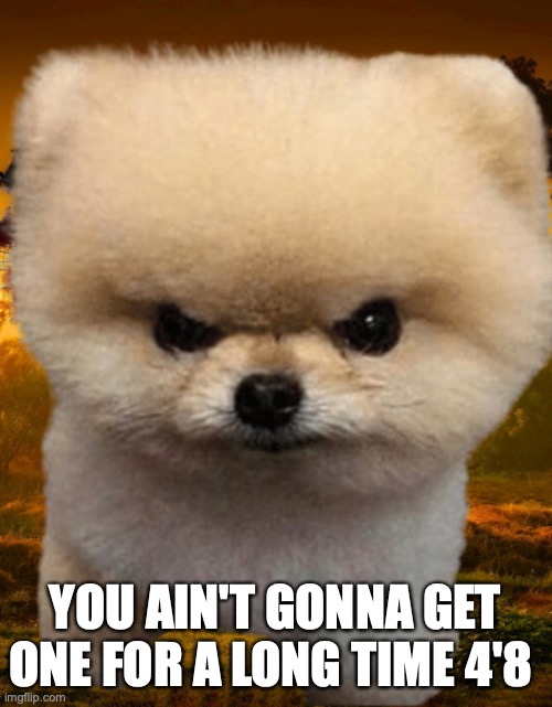 Fluffy, Destroyer of worlds | YOU AIN'T GONNA GET ONE FOR A LONG TIME 4'8 | image tagged in fluffy destroyer of worlds | made w/ Imgflip meme maker