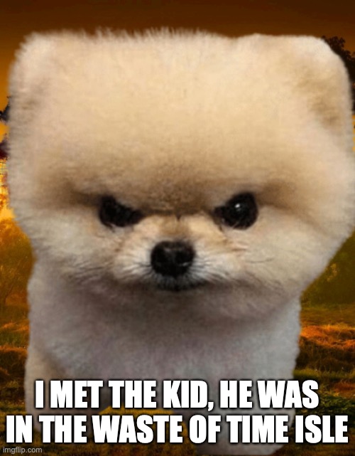 Fluffy, Destroyer of worlds | I MET THE KID, HE WAS IN THE WASTE OF TIME ISLE | image tagged in fluffy destroyer of worlds | made w/ Imgflip meme maker