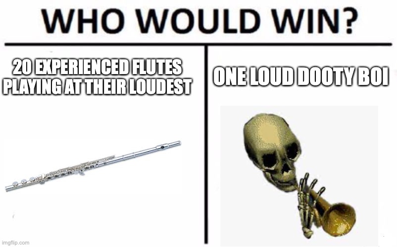 I can never hear the flutes |  ONE LOUD DOOTY BOI; 20 EXPERIENCED FLUTES PLAYING AT THEIR LOUDEST | image tagged in memes,who would win,doot,band | made w/ Imgflip meme maker