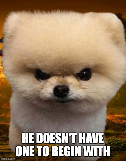 Fluffy, Destroyer of worlds | HE DOESN'T HAVE ONE TO BEGIN WITH | image tagged in fluffy destroyer of worlds | made w/ Imgflip meme maker