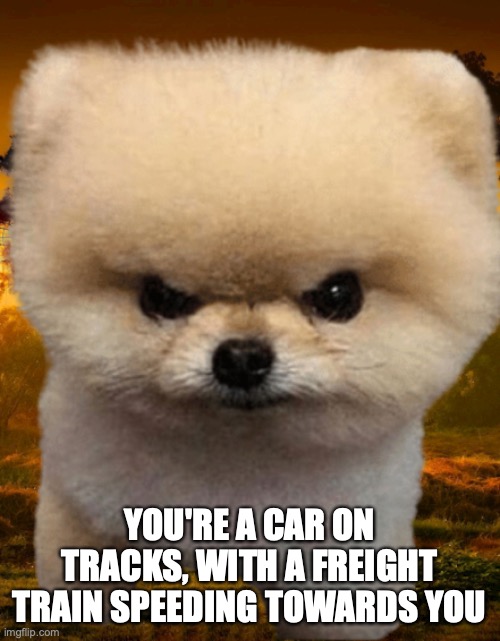Fluffy, Destroyer of worlds | YOU'RE A CAR ON TRACKS, WITH A FREIGHT TRAIN SPEEDING TOWARDS YOU | image tagged in fluffy destroyer of worlds | made w/ Imgflip meme maker