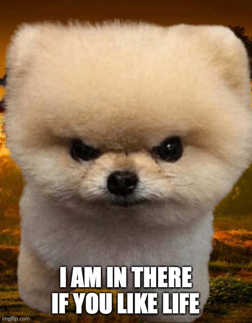 Fluffy, Destroyer of worlds | I AM IN THERE IF YOU LIKE LIFE | image tagged in fluffy destroyer of worlds | made w/ Imgflip meme maker