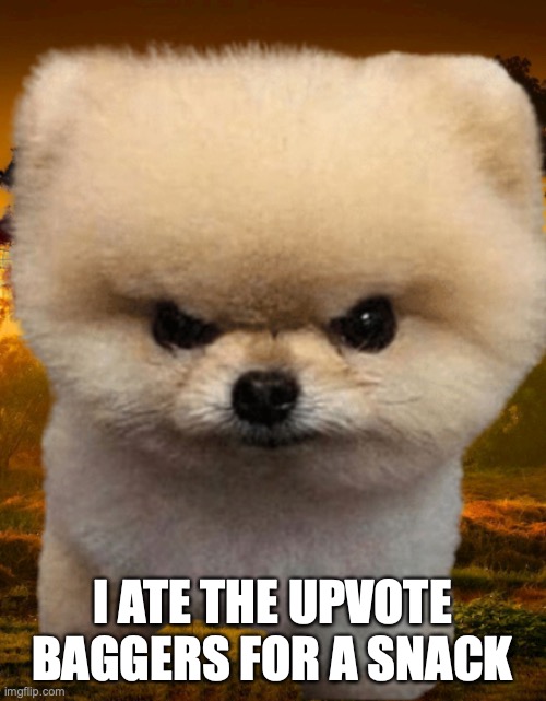 Fluffy, Destroyer of worlds | I ATE THE UPVOTE BAGGERS FOR A SNACK | image tagged in fluffy destroyer of worlds | made w/ Imgflip meme maker