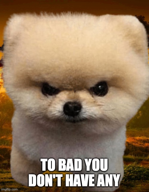 Fluffy, Destroyer of worlds | TO BAD YOU DON'T HAVE ANY | image tagged in fluffy destroyer of worlds | made w/ Imgflip meme maker