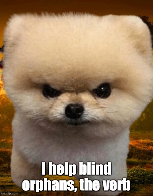 Fluffy Comments: | I help blind orphans, the verb | image tagged in fluffy destroyer of worlds,i help blind orphans | made w/ Imgflip meme maker