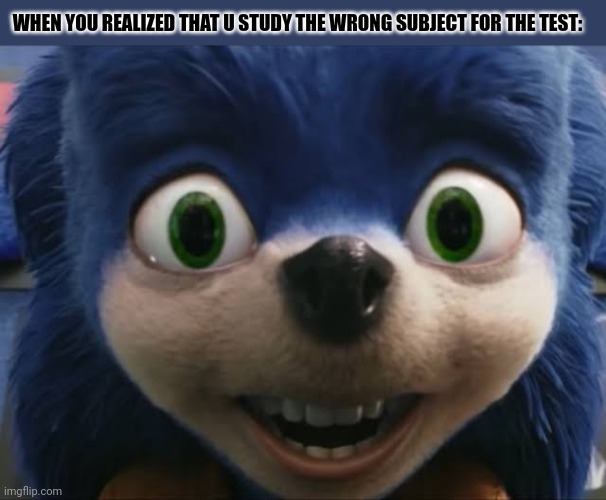 WHEN YOU REALIZED THAT U STUDY THE WRONG SUBJECT FOR THE TEST: | image tagged in memes,ugly,sonic | made w/ Imgflip meme maker