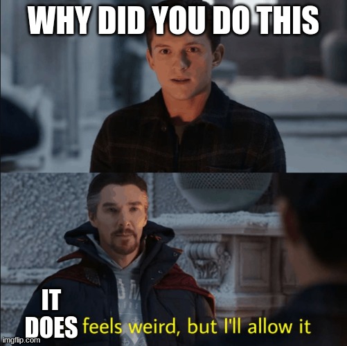 That feels weird but I'll allow it | WHY DID YOU DO THIS IT DOES | image tagged in that feels weird but i'll allow it | made w/ Imgflip meme maker