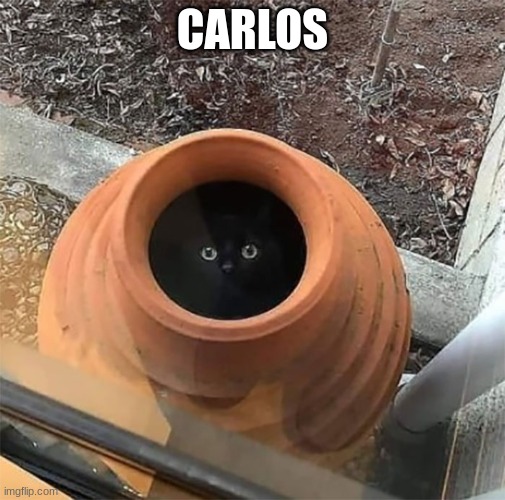 Carlos | CARLOS | image tagged in carlos | made w/ Imgflip meme maker