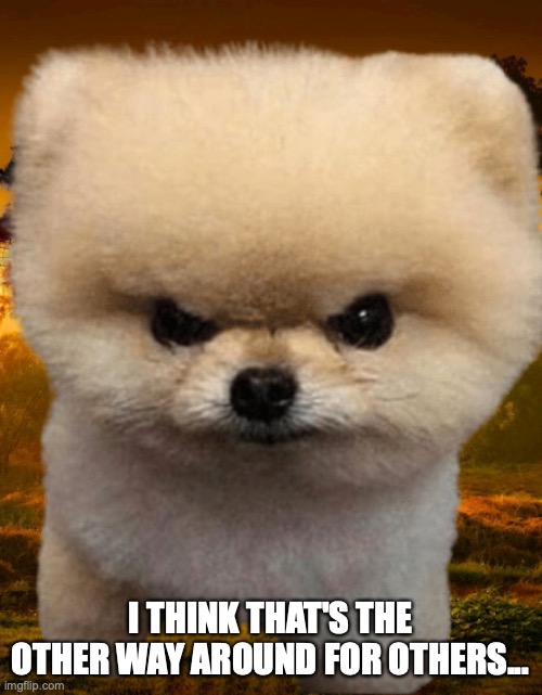 Fluffy, Destroyer of worlds | I THINK THAT'S THE OTHER WAY AROUND FOR OTHERS... | image tagged in fluffy destroyer of worlds | made w/ Imgflip meme maker