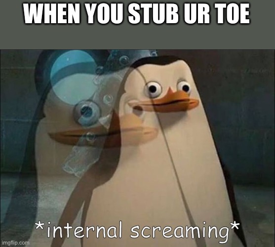 Private Internal Screaming | WHEN YOU STUB UR TOE | image tagged in private internal screaming | made w/ Imgflip meme maker