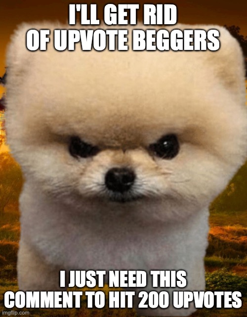 Fluffy, Destroyer of worlds | I'LL GET RID OF UPVOTE BEGGERS I JUST NEED THIS COMMENT TO HIT 200 UPVOTES | image tagged in fluffy destroyer of worlds | made w/ Imgflip meme maker