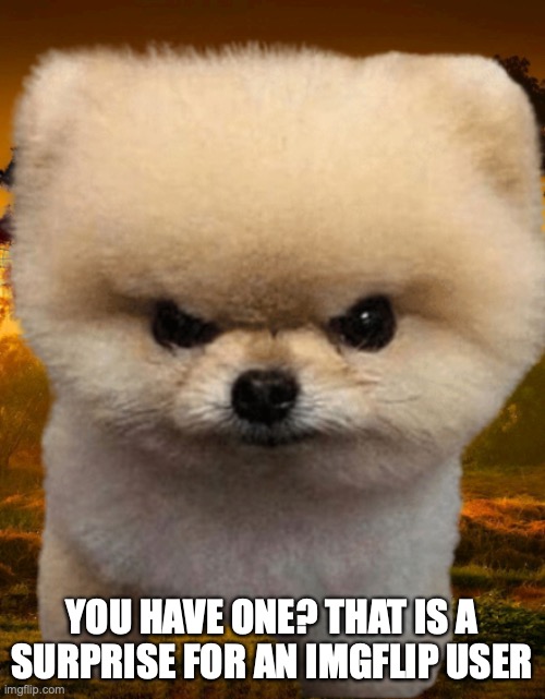 Fluffy, Destroyer of worlds | YOU HAVE ONE? THAT IS A SURPRISE FOR AN IMGFLIP USER | image tagged in fluffy destroyer of worlds | made w/ Imgflip meme maker