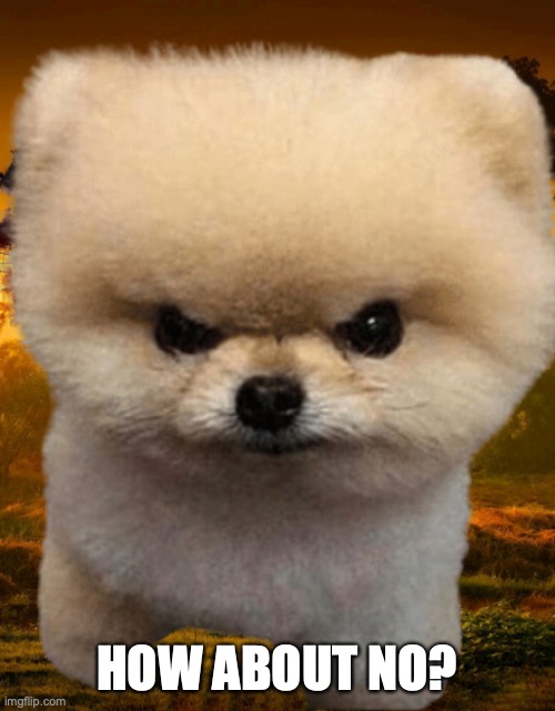 Fluffy, Destroyer of worlds | HOW ABOUT NO? | image tagged in fluffy destroyer of worlds | made w/ Imgflip meme maker