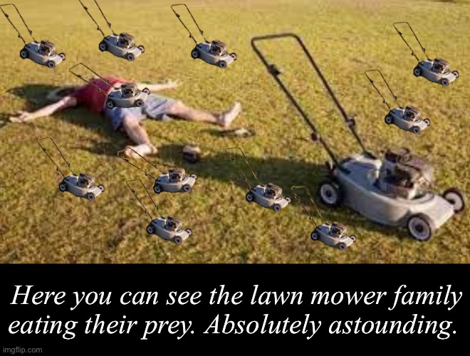 My friend made this, but I captioned it. | Here you can see the lawn mower family eating their prey. Absolutely astounding. | image tagged in lawnmower,documentary,why are you reading this | made w/ Imgflip meme maker