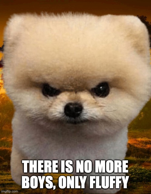 Fluffy, Destroyer of worlds | THERE IS NO MORE BOYS, ONLY FLUFFY | image tagged in fluffy destroyer of worlds | made w/ Imgflip meme maker