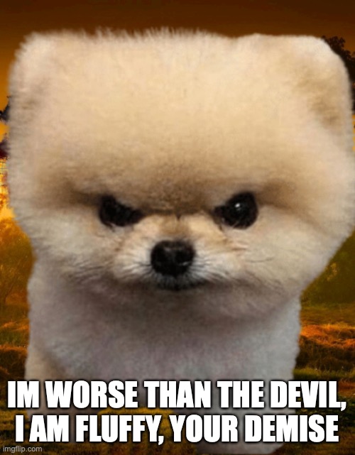 Fluffy, Destroyer of worlds | IM WORSE THAN THE DEVIL, I AM FLUFFY, YOUR DEMISE | image tagged in fluffy destroyer of worlds | made w/ Imgflip meme maker