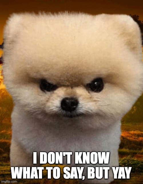 Fluffy, Destroyer of worlds | I DON'T KNOW WHAT TO SAY, BUT YAY | image tagged in fluffy destroyer of worlds | made w/ Imgflip meme maker