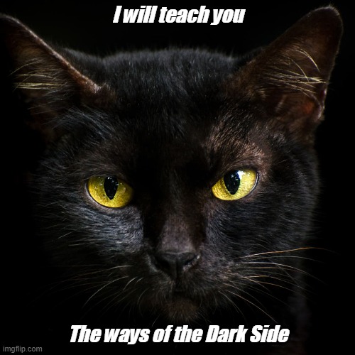 Dark Side Kitty - Muhahaha! | I will teach you; The ways of the Dark Side | image tagged in i will teach you,the ways of the dark side,kitty,black cat | made w/ Imgflip meme maker