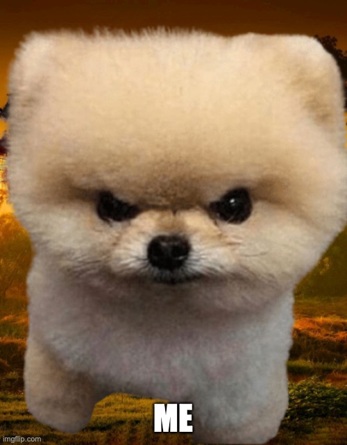 Fluffy, Destroyer of worlds | ME | image tagged in fluffy destroyer of worlds | made w/ Imgflip meme maker