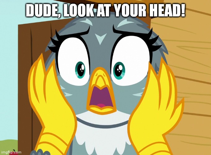 DUDE, LOOK AT YOUR HEAD! | made w/ Imgflip meme maker