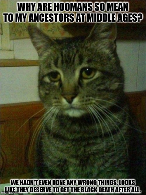 Depressed Cat | WHY ARE HOOMANS SO MEAN TO MY ANCESTORS AT MIDDLE AGES? WE HADN'T EVEN DONE ANY WRONG THINGS. LOOKS LIKE THEY DESERVE TO GET THE BLACK DEATH AFTER ALL. | image tagged in memes,poor,kitten | made w/ Imgflip meme maker