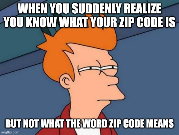It stands for Zone Improvement Plan | WHEN YOU SUDDENLY REALIZE YOU KNOW WHAT YOUR ZIP CODE IS; BUT NOT WHAT THE WORD ZIP CODE MEANS | image tagged in memes,futurama fry,meaning,play on words | made w/ Imgflip meme maker