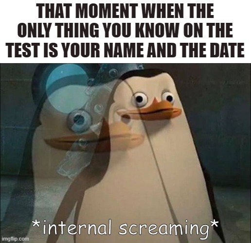 Private Internal Screaming | THAT MOMENT WHEN THE ONLY THING YOU KNOW ON THE TEST IS YOUR NAME AND THE DATE | image tagged in private internal screaming | made w/ Imgflip meme maker