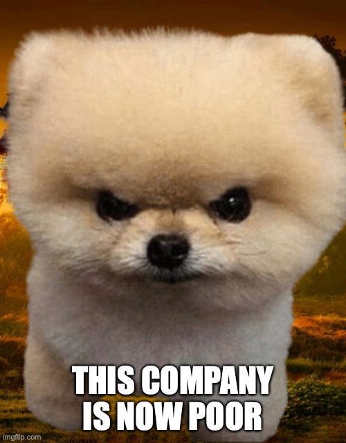 Fluffy, Destroyer of worlds | THIS COMPANY IS NOW POOR | image tagged in fluffy destroyer of worlds | made w/ Imgflip meme maker