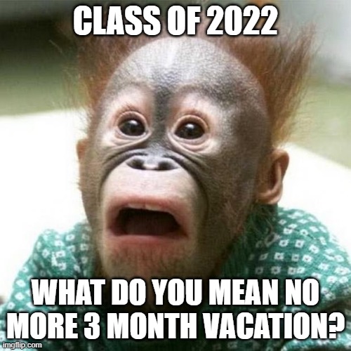 Graduation | CLASS OF 2022; WHAT DO YOU MEAN NO MORE 3 MONTH VACATION? | image tagged in shocked monkey | made w/ Imgflip meme maker