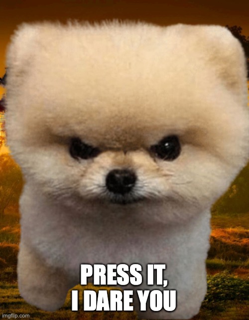 Fluffy, Destroyer of worlds | PRESS IT, I DARE YOU | image tagged in fluffy destroyer of worlds | made w/ Imgflip meme maker