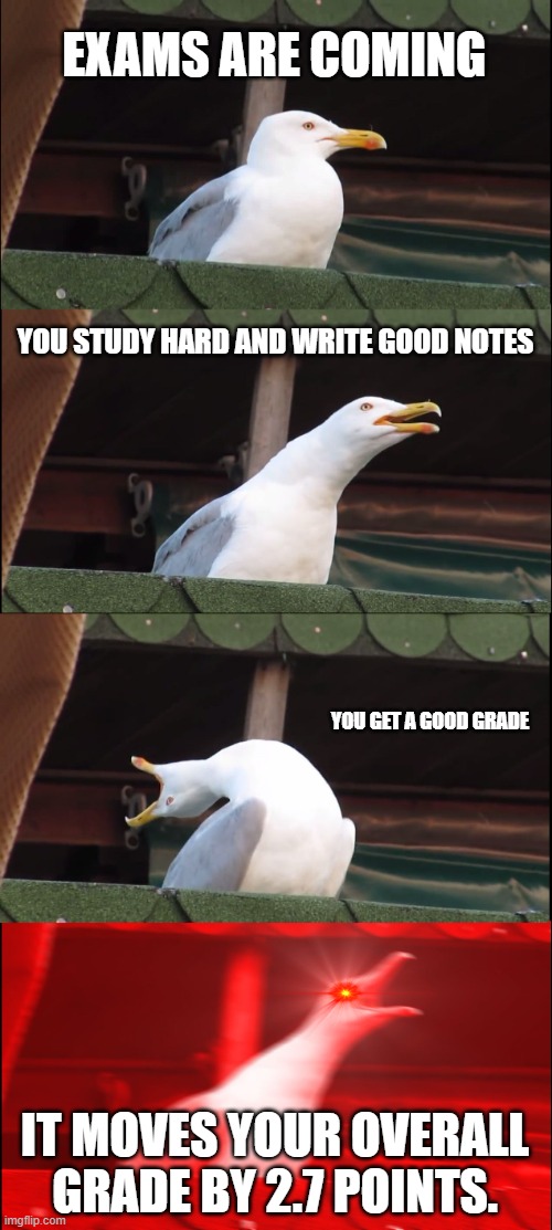 F*cking Exams | EXAMS ARE COMING; YOU STUDY HARD AND WRITE GOOD NOTES; YOU GET A GOOD GRADE; IT MOVES YOUR OVERALL GRADE BY 2.7 POINTS. | image tagged in memes,inhaling seagull,school,exams,grades,bad grades | made w/ Imgflip meme maker