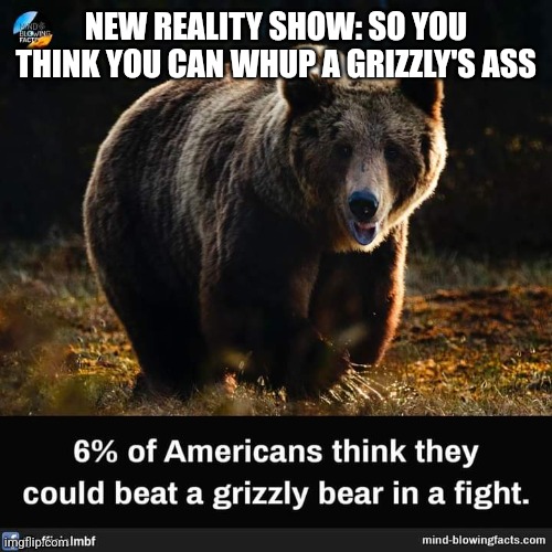Reality Tv | NEW REALITY SHOW: SO YOU THINK YOU CAN WHUP A GRIZZLY'S ASS | image tagged in grizzly bear | made w/ Imgflip meme maker