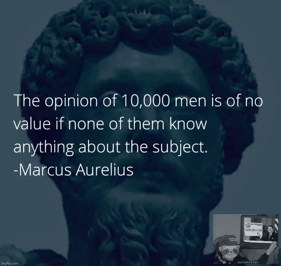 Conservative Party has argued with 10,000 Leftists and proven them all wrong. Learn more at https://imgflip.com/m/ConservativePa | image tagged in marcus aurelius quote,conservative party,conservative,party,leftists,libtrads | made w/ Imgflip meme maker