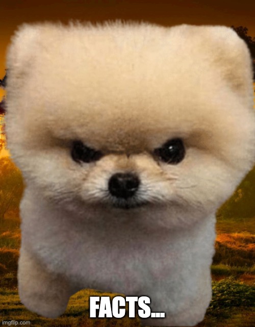 Fluffy, Destroyer of worlds | FACTS... | image tagged in fluffy destroyer of worlds | made w/ Imgflip meme maker