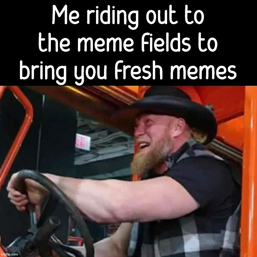 Me riding out to the meme fields to bring you fresh memes | image tagged in who_am_i | made w/ Imgflip meme maker