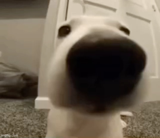 Yo got games on yo phone? | made w/ Imgflip meme maker