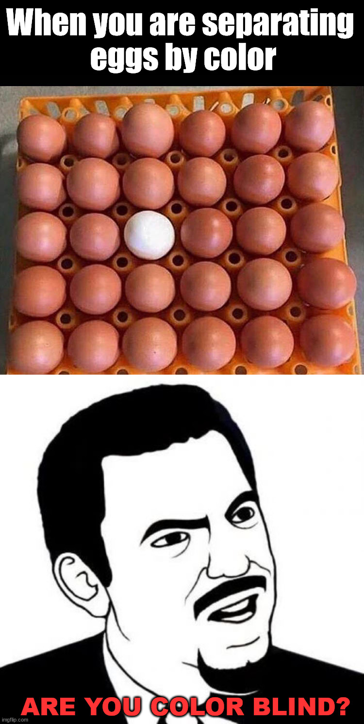 When you are separating 
eggs by color; ARE YOU COLOR BLIND? | image tagged in memes,seriously face,you had one job | made w/ Imgflip meme maker