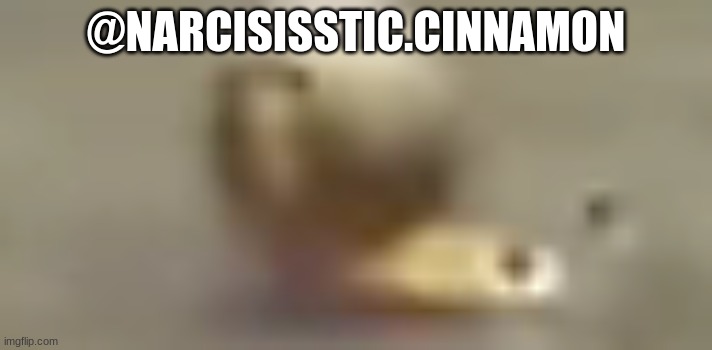 @NARCISISSTIC.CINNAMON | made w/ Imgflip meme maker