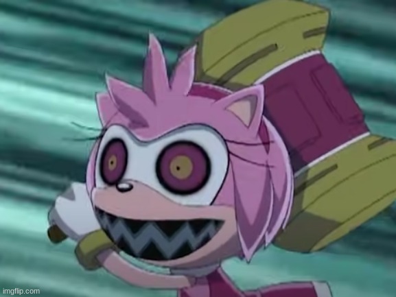 WHY DID 4KIDS ACTUALLY ALLOW THIS | image tagged in cursed image,amy rose,sonic x | made w/ Imgflip meme maker