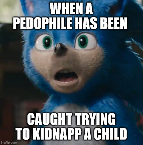 Uh... Don't try this at home kids... | WHEN A PEDOPHILE HAS BEEN; CAUGHT TRYING TO KIDNAPP A CHILD | image tagged in sonic movie | made w/ Imgflip meme maker