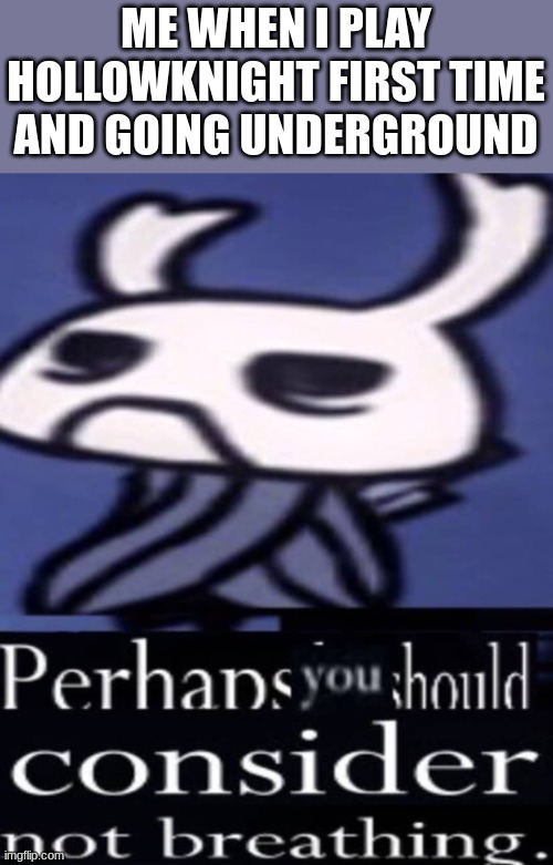 What is this line but its funni tho |  ME WHEN I PLAY HOLLOWKNIGHT FIRST TIME AND GOING UNDERGROUND | image tagged in hollow knight not breathing,hollow knight,funny | made w/ Imgflip meme maker