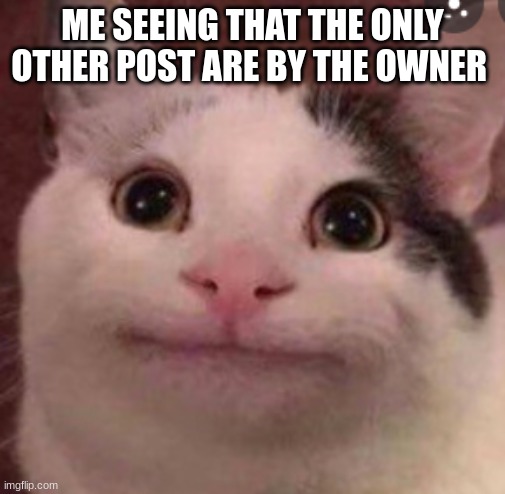 this sub should get more love | ME SEEING THAT THE ONLY OTHER POST ARE BY THE OWNER | image tagged in beluga cat,memes,funny memes,meme | made w/ Imgflip meme maker