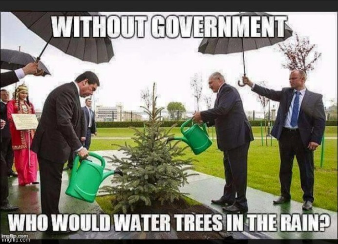 Supervisor | image tagged in trees,water | made w/ Imgflip meme maker