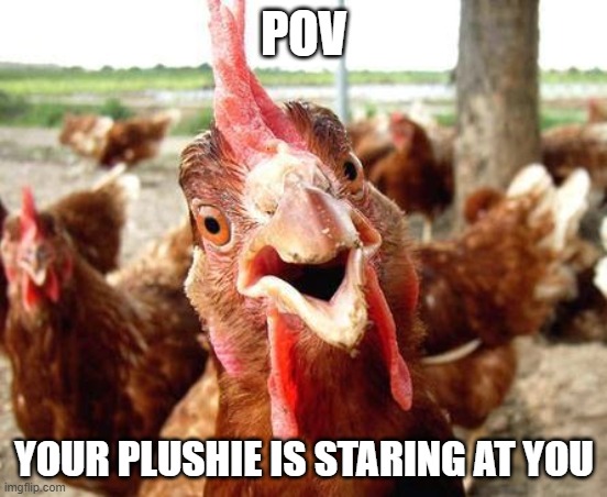 Chicken | POV; YOUR PLUSHIE IS STARING AT YOU | image tagged in chicken | made w/ Imgflip meme maker