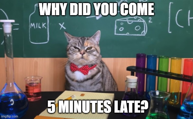 CAT | WHY DID YOU COME; 5 MINUTES LATE? | image tagged in science cat | made w/ Imgflip meme maker