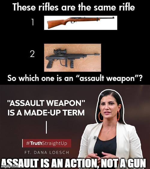 Assault is an action, not a gun | ASSAULT IS AN ACTION, NOT A GUN | image tagged in assault weapons,gun control | made w/ Imgflip meme maker