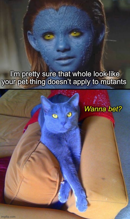 A shapeshifting cat would be pretty freakin’ cool. | I’m pretty sure that whole look like your pet thing doesn’t apply to mutants; Wanna bet? | image tagged in funny memes,marvel,mystique,raven,xmen | made w/ Imgflip meme maker